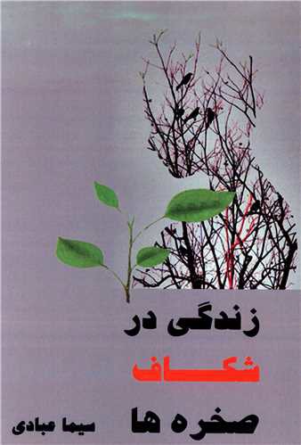 زندگی در شکاف صخره ها