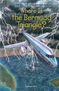 Where Is The Bermuda Triagle 