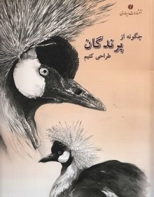 چگونه از پرندگان طراحي كنيم