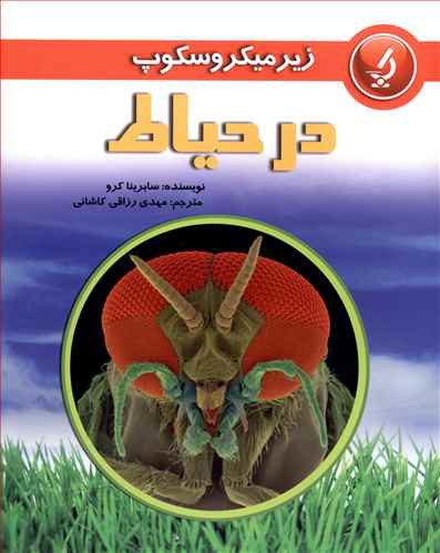 در حیاط