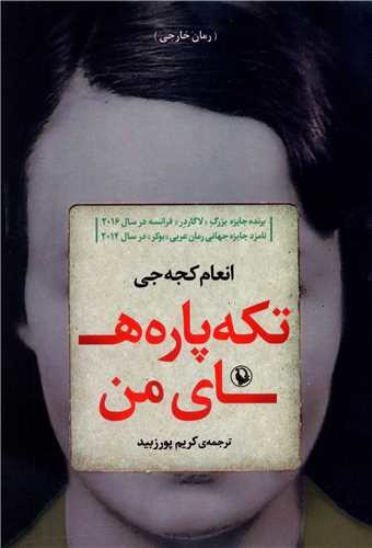 تکه پاره های من