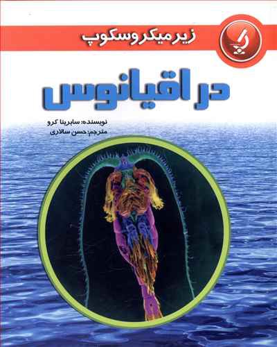 در اقیانوس