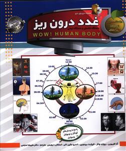 (غدد درون ریز)، دستگاه تناسلی و دستگاه ایمنی