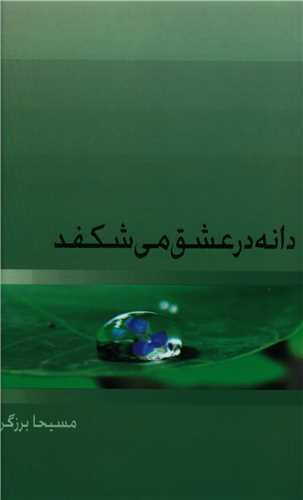 دانه در عشق می شکفد