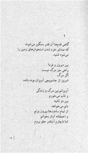 برادر کشی