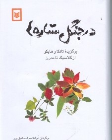 در جنگل ستاره‌ها