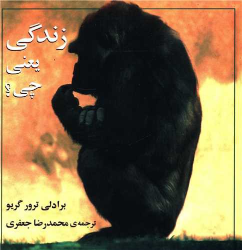 زندگی یعنی چی (خشتی)